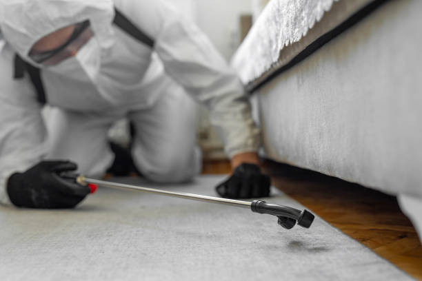 Professional Termite Control technician working in Licking, MO